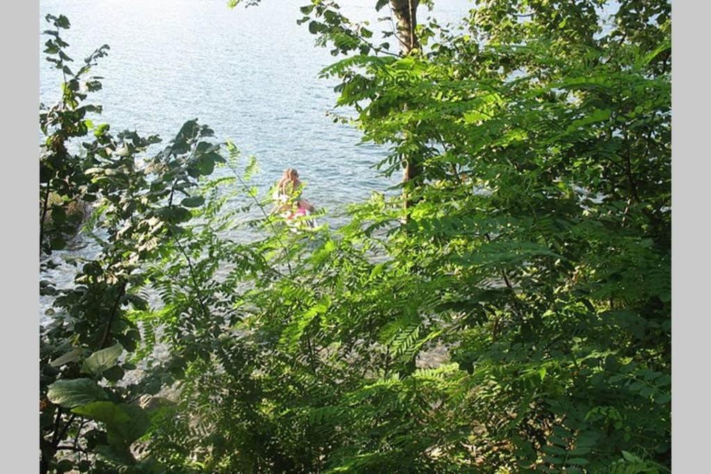 Lake Orta Openspace Garden Beach Pettenasco Eksteriør billede